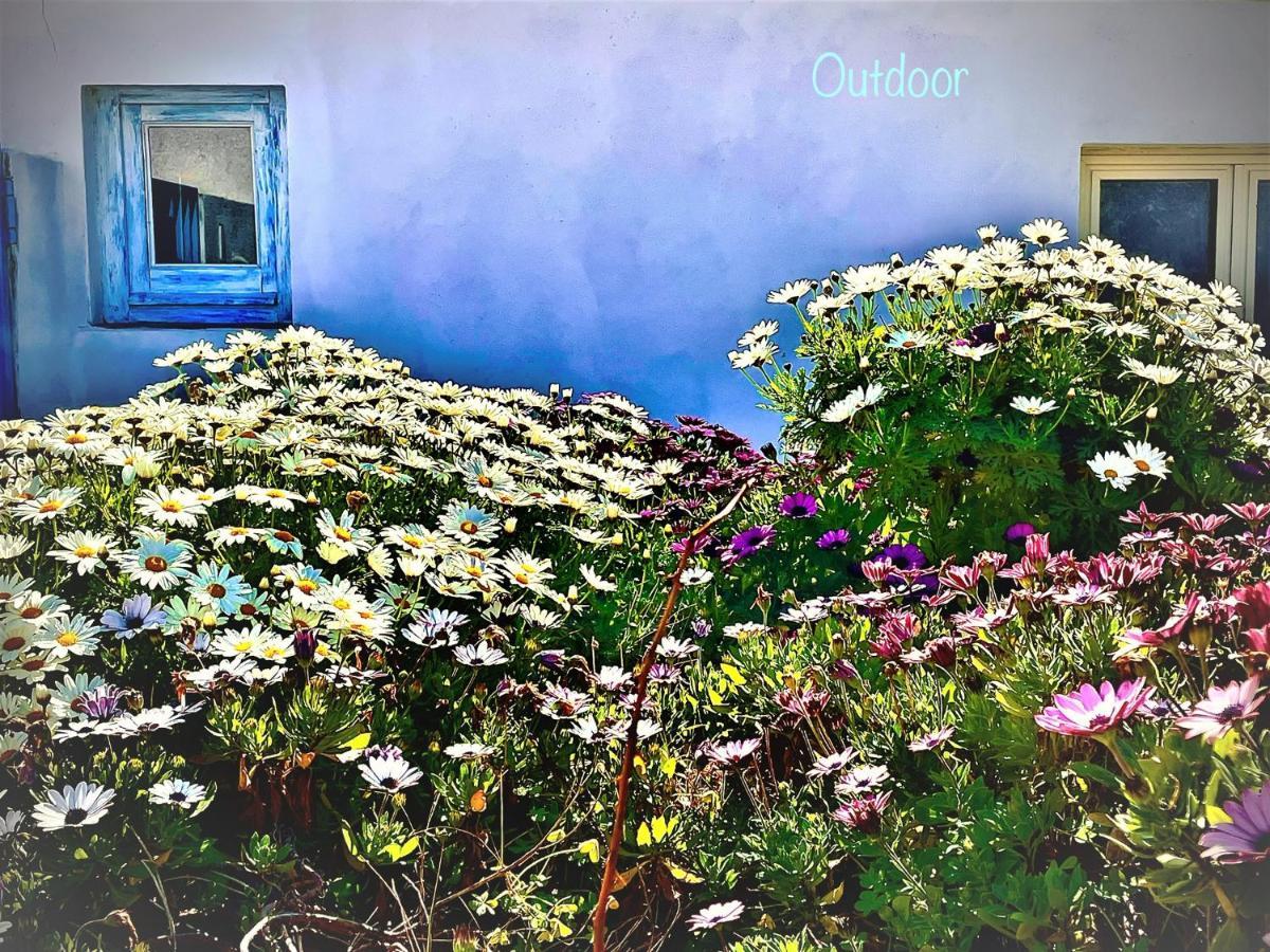 B&B Le Pavoncelle Sarde Flumini di Quartu Buitenkant foto